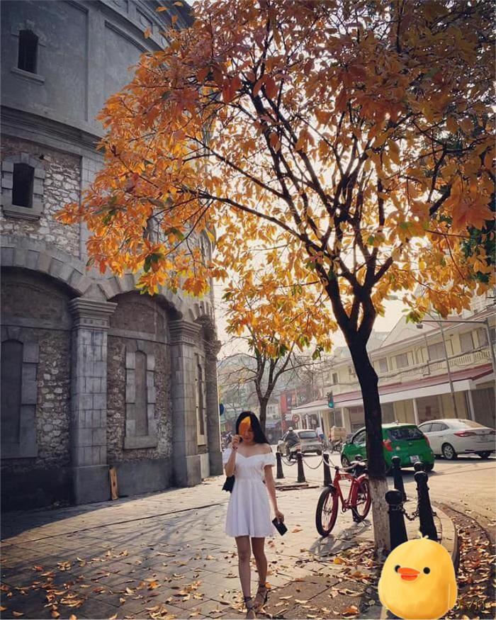 Aura Home Whole French House Hanoi Exteriör bild